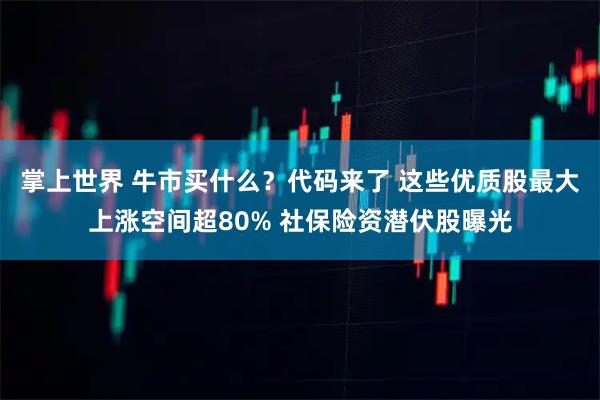 掌上世界 牛市买什么？代码来了 这些优质股最大上涨空间超80% 社保险资潜伏股曝光