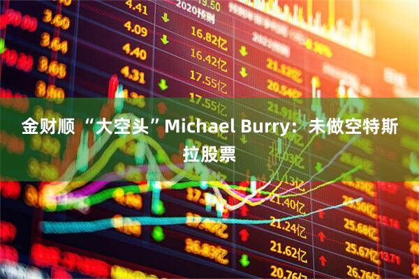金财顺 “大空头”Michael Burry：未做空特斯拉股票