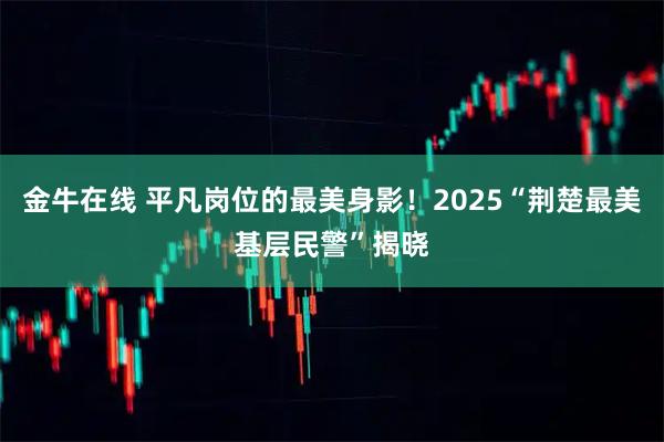 金牛在线 平凡岗位的最美身影！2025“荆楚最美基层民警”揭晓